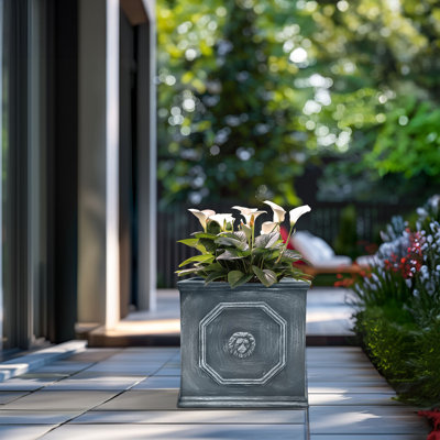 Pot décoratif très grand et décoratif en béton pour l'intérieur et l'extérieur