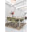 Mulvey Wool Moroccan Indoor Rug