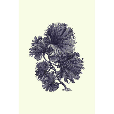 «Indigo Kelp I» par Vision Studio - peinture sur toile tendue