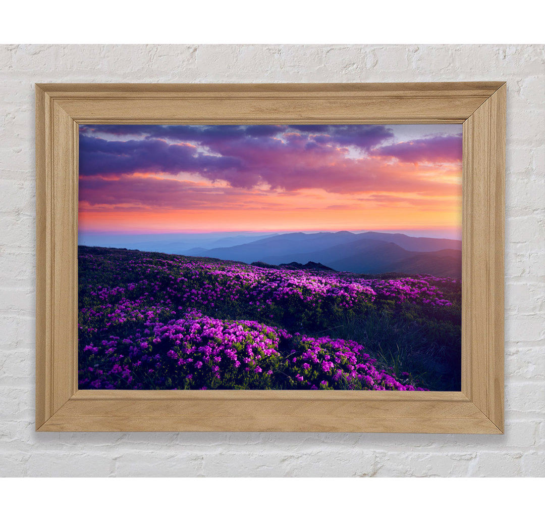 Purple Meadow Mountains - Einzelne Bilderrahmen Kunstdrucke