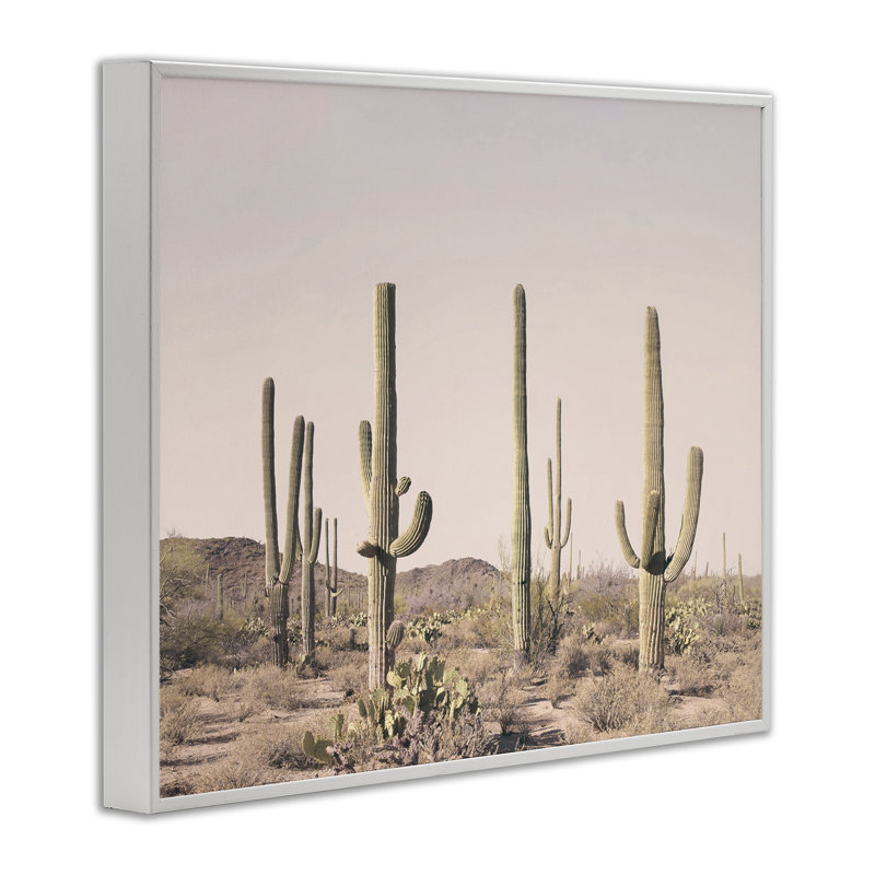 Art de giclée sur fond de cactus rosé par Sissi et Seb, Giclée encadrée blanc bord de mer, H 16 po x l 20 po