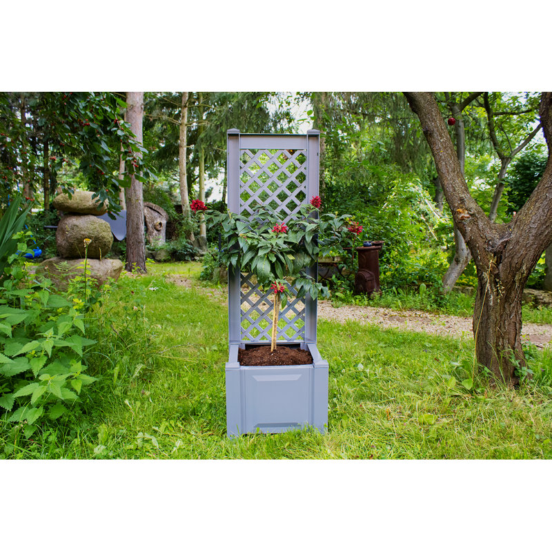 Planter Box, 1