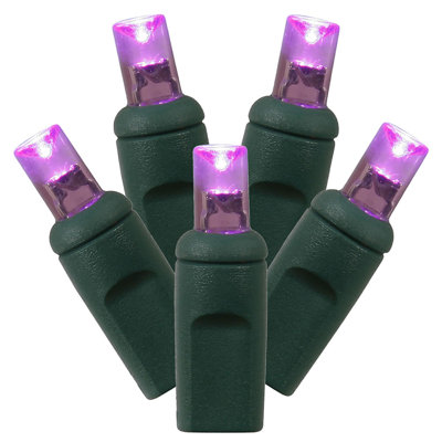100 Commercial Grade LED Wide Angle Christmas Lights - Green Wire