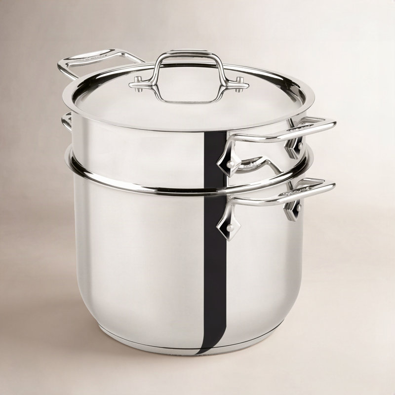 All-Clad Specialty 6 Qt. Multi Pot