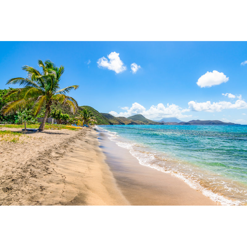 Beautiful Beach with Trees - Photographie sur toile tendue, H 8 po x l 12 po