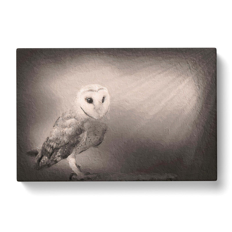 Light Upon The Barn Owl - Wrapped Canvas, 35cm H x 50cm W x 3cm D