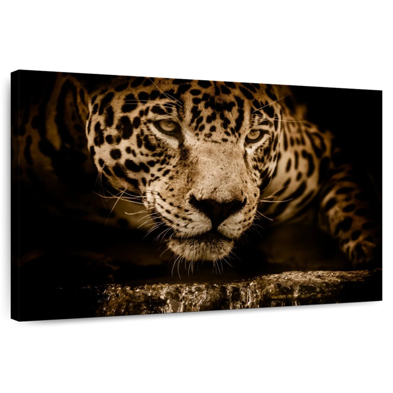 Crowle Jaguar Portrait, H 8 po x l 12 po