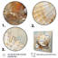 Abstract Seashell Treasures I - Animals Wall Decor-278762957-278762958