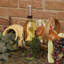Chandelles en métal chardonnay