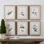 "Green Floral Botanical Study" - 6 Piece Art Set