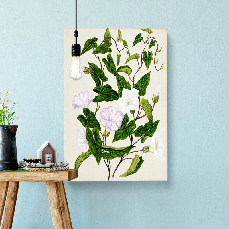 Bindweed Flowers by Sarah Featon - Wrapped Canvas, 50cm H x 35cm W x 3cm D