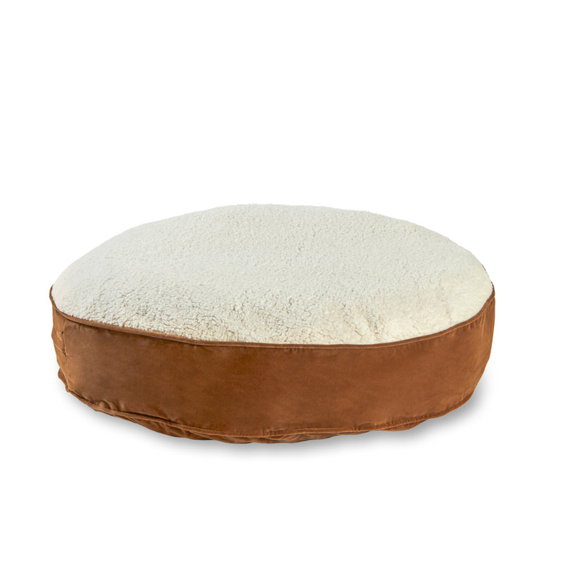 Alyzae Polyester Pet Bed, Latte, Large (42" W x42" D x 6" H)
