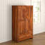 2 Door Solid Wood Wardrobe
