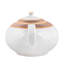 Théière antique en porcelaine de Bohème