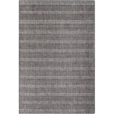 Lundia Hand Tufted Rug