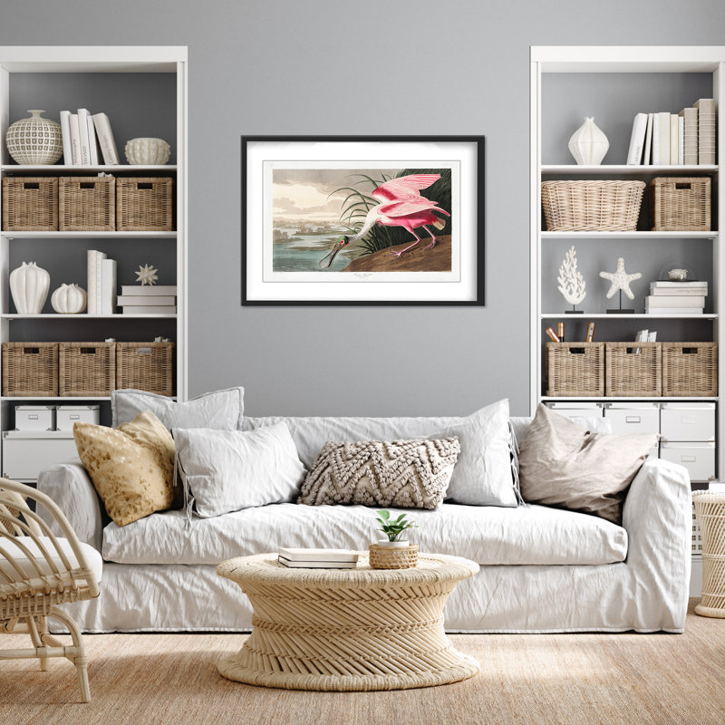Nature Inspired Roseate Spoonbill From Birds Of America (1827), 16" H x 24" W