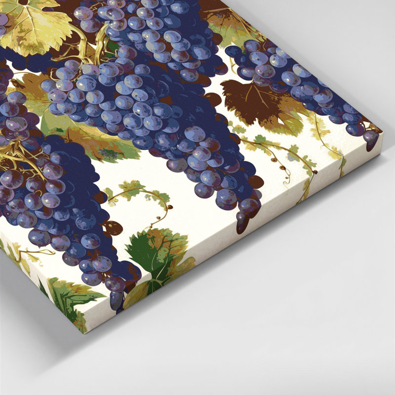 Fruit Grape Delaware Purple Canvas Wall Art, 11" H x 14" W