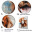 «Dog Irish Setter Impressions III», reproduction sur toile-588398484-588398477
