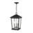 Bourke 3 - Light Outdoor Hanging Lantern-1123965486