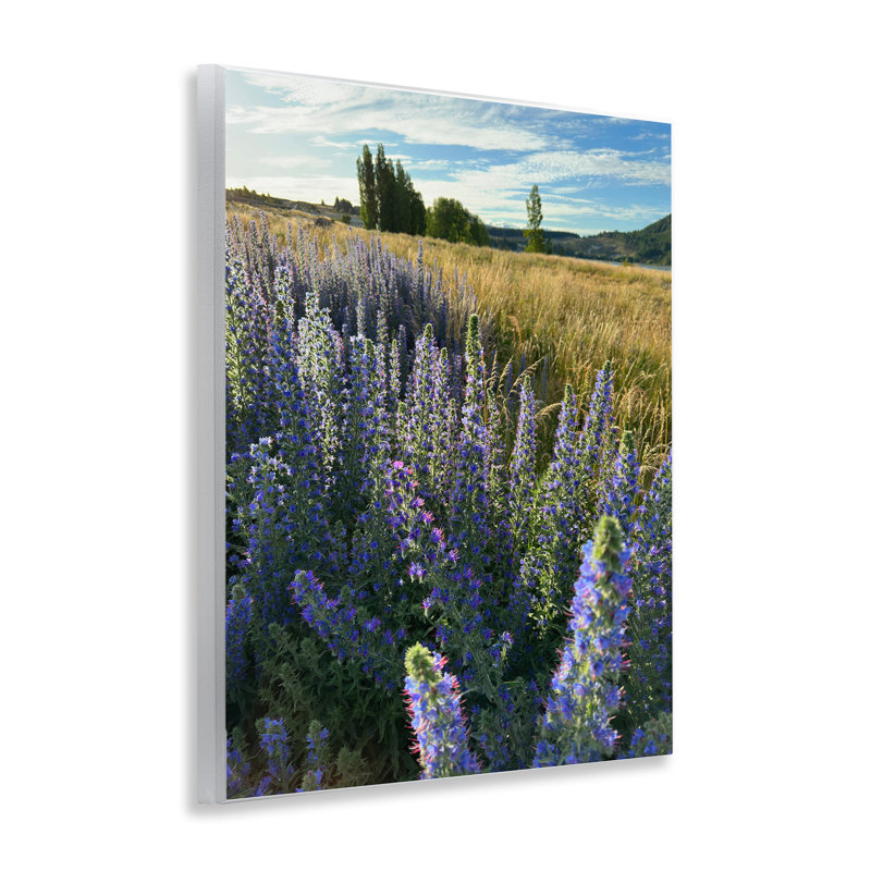 «Lavender Fields Landscape», art mural par Kali Wilson