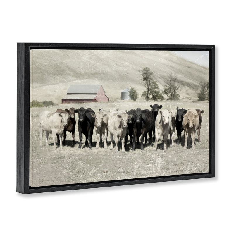 Varied Cattle on Farm Canvas by Rhonda Addison, Jet Black Floater Frame, 17" H x 25" W