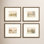Ensemble de 4 petits paysages Ashonti
