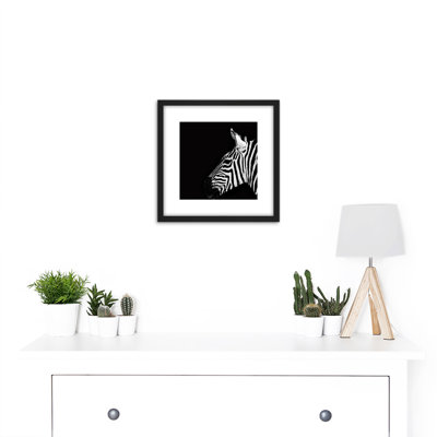 Zebra Head Animal Black White Photo - Single Picture Frame Print