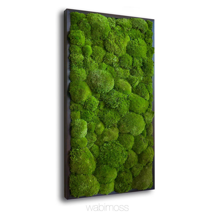 Moss Wall Art by WabiMoss  Green wall art for your interior space.