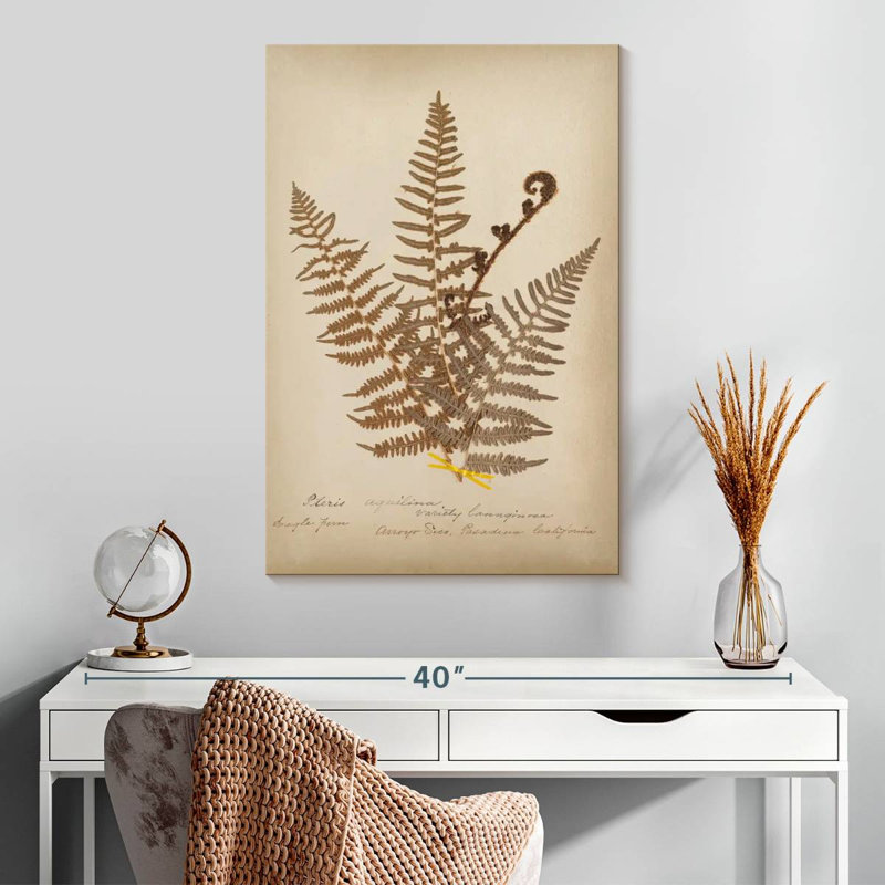 Harnek Ferns In Book, H 30 po x l 20 po