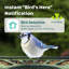 Mangeoire d'oiseaux intelligente à double caméra Birdfy