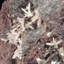 Cerussite. Mine d'argent, près de Gleeson, Cochise Co., Arizona, États-Unis