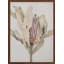 Nature Inspired "Banksia" Framed Print Wall Art-1263275671