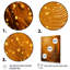 «Midnight Marigold Siral I - Abstract Collages», art mural-241582128-241582143