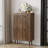 Modern Shoe Cabinet