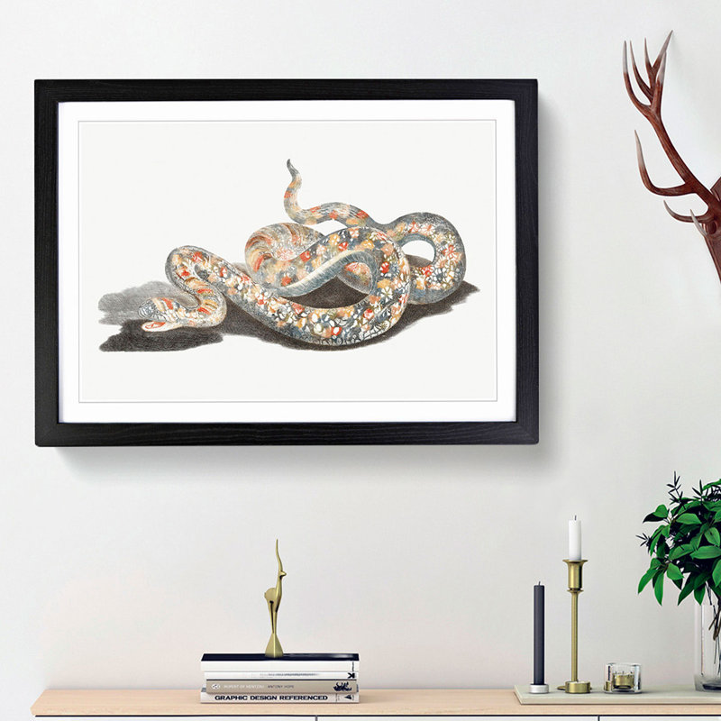 A Snake by Johan Teyler - Single Picture Frame Painting, 45cm H x 63cm W x 2cm D, Black Framed