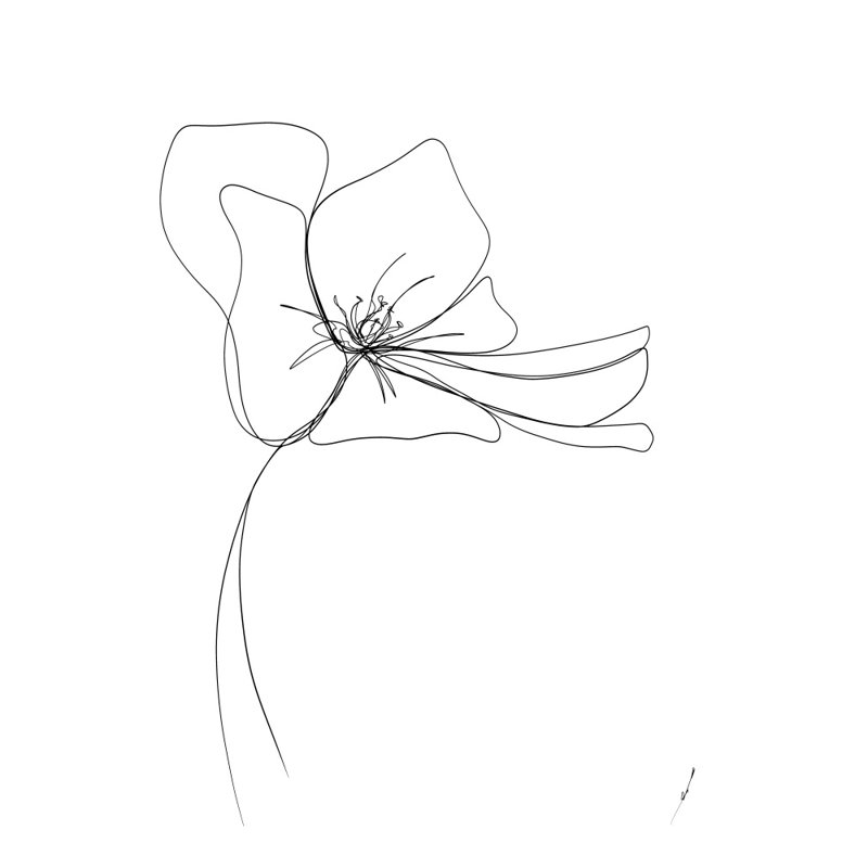 Wrapped Canvas Print, 76.2 cm H x 50.8 cm W