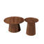 Ensemble de 2 tables basses rondes