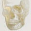 Skeleton Print