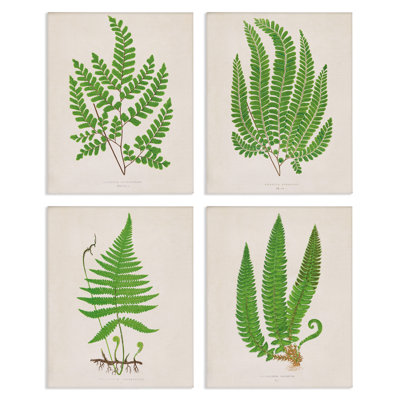 Subtle Green Fern Branches 4pc Canvas Set, design by Phillipa Katz