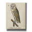 «Barn Owl 1560-1585» par Inconnu, art mural sur toile-1350273268