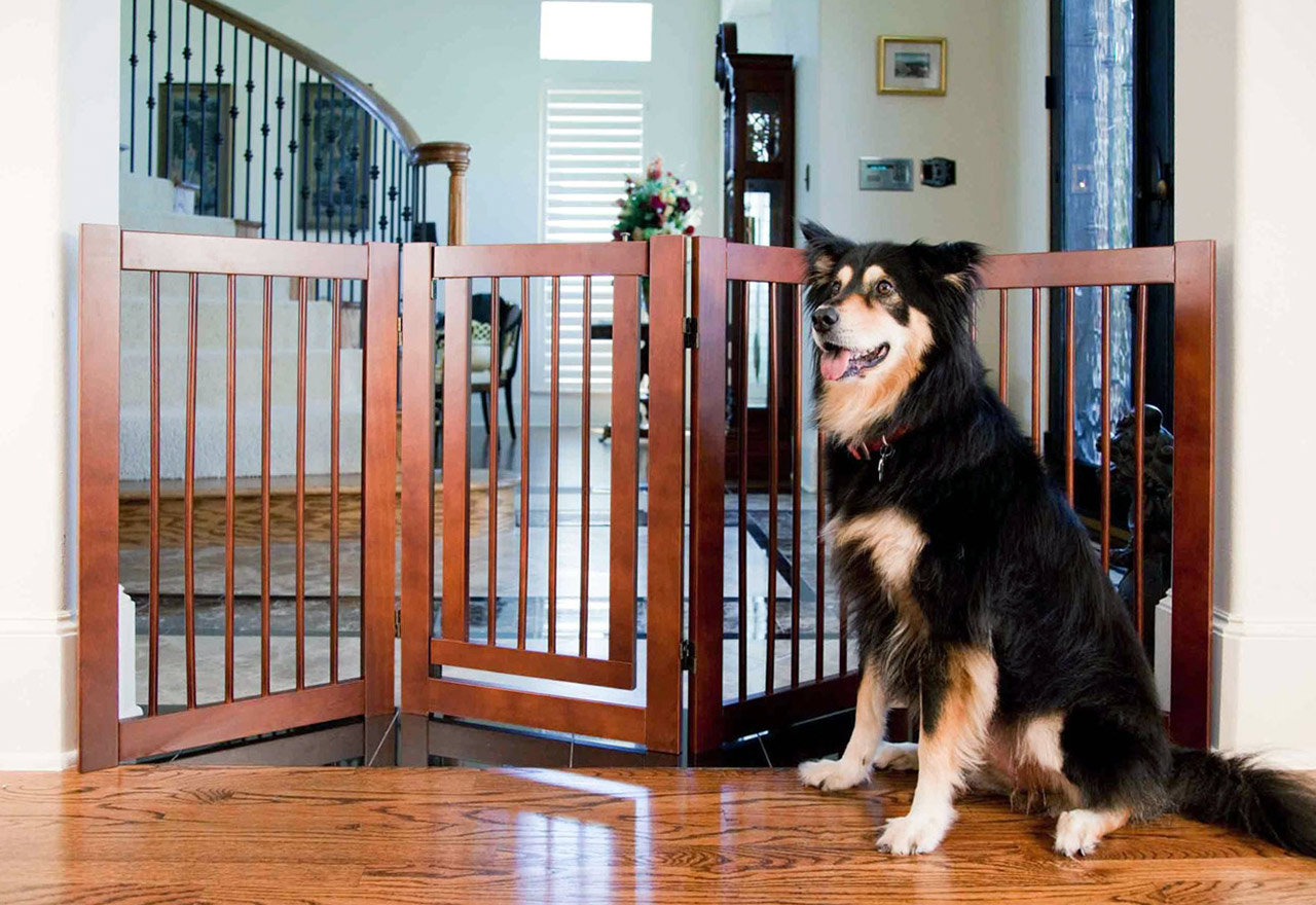 [BIG SALE] Stylish Pet Crates & Gates You’ll Love In 2024 Wayfair