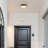 Daishae Glass LED Flush Mount