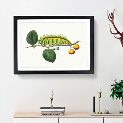 Caterpillar by George Shaw - Framed Print