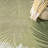 Nourison Suncoast 4' x 6' Green Tropical Rug-972003019-965976476