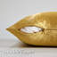Ensemble de 4 housses de coussin en velours de luxe, housse décorative douce pour canapé-lit, salon, canapé, chambre à coucher-118196148-118034450