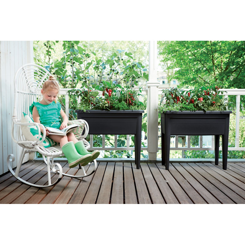 Elevated Planter, Living Black, 65.1cm H x 75.5cm W x 75.5cm D