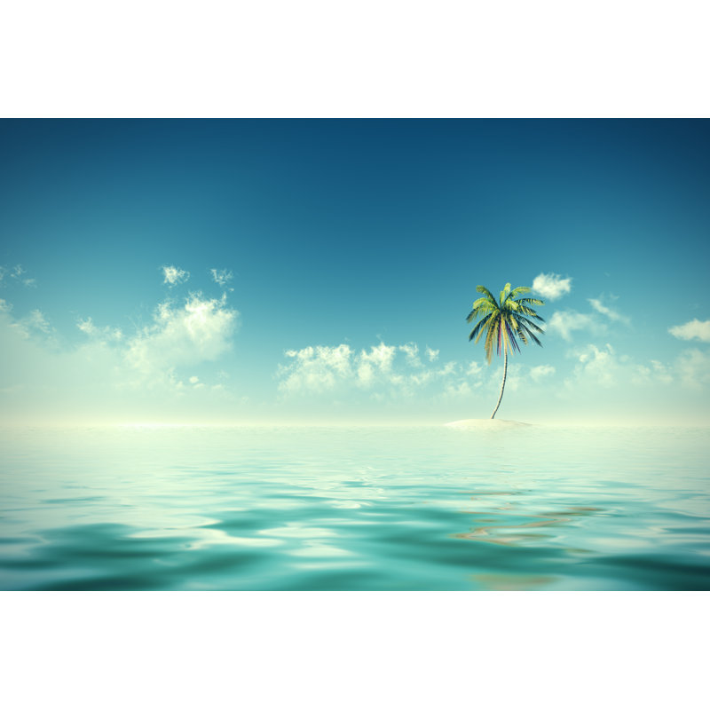 Coconut Island Sunshine by Lekcej - Wrapped Canvas Print, 30cm H x 46cm W x 3.8cm D