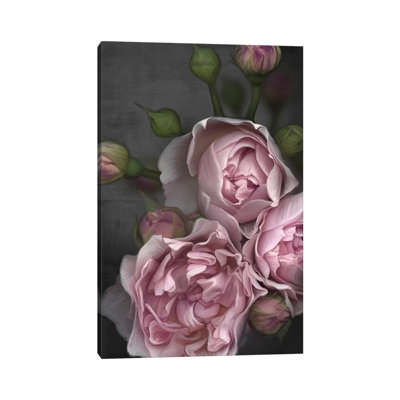 «Pink Peony» par Juliana Loomer, reproduction d'art sur toile tendue