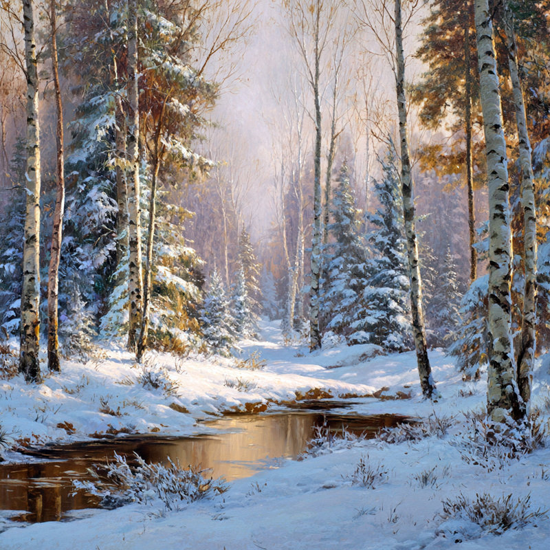 «Birch Woods in Snow», art mural sur toile tendue, H 20 po x l 20 po