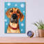 "Simba" par Lucia Stewart-1042070037
